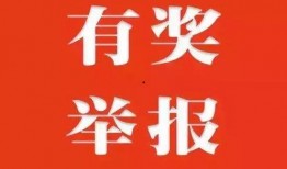 中山新闻爆料有奖励吗,热心市民助力新闻监督